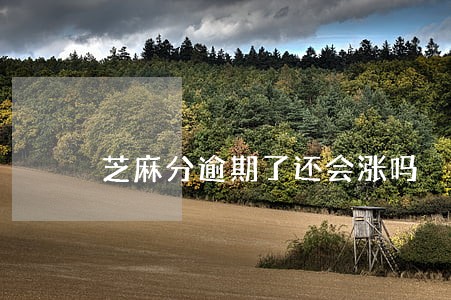 芝麻分逾期了还会涨吗 芝麻分逾期了还会涨吗