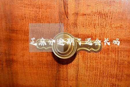 芝麻分逾期了还会长吗 芝麻分逾期了还会长吗