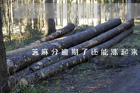 芝麻分逾期了还能涨起来 芝麻分逾期了还能涨起来