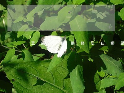 芝麻分逾期修复在哪里