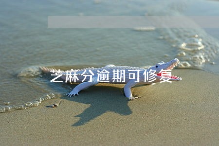 芝麻分逾期可修复 芝麻分逾期可修复