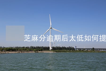 芝麻分逾期后太低如何提高 芝麻分逾期后太低如何提高