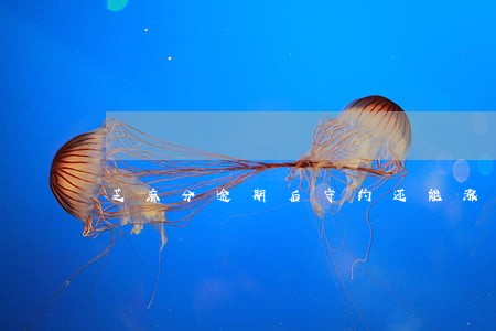 芝麻分逾期后守约还能涨么 芝麻分逾期后守约还能涨么