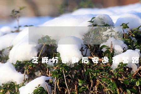 芝麻分逾期后安逸花套路吗 芝麻分逾期后安逸花套路吗
