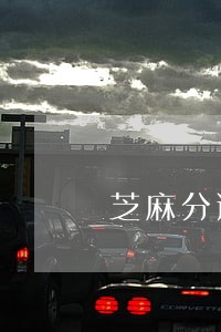 芝麻分逾期后怎么恢复 芝麻分逾期后怎么恢复