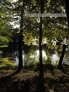 芝麻分逾期后怎么涨回来 芝麻分逾期后怎么涨回来