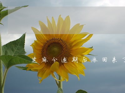 芝麻分逾期后涨回来了 芝麻分逾期后涨回来了
