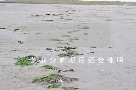 芝麻分逾期后还会涨吗 芝麻分逾期后还会涨吗
