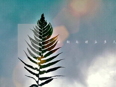 芝麻分逾期处理后多久可以涨 芝麻分逾期处理后多久可以涨