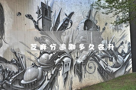 芝麻分逾期多久会升 芝麻分逾期多久会升