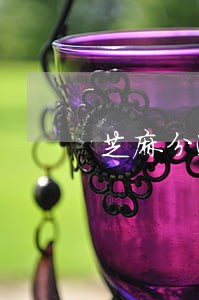 芝麻分逾期多久才会再次使用 芝麻分逾期多久才会再次使用