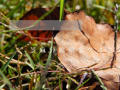 芝麻分逾期多久才会涨 芝麻分逾期多久才会涨