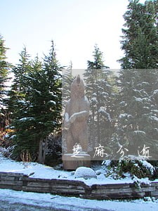 芝麻分逾期怎么才能提高 芝麻分逾期怎么才能提高