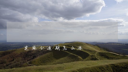 芝麻分逾期怎么涨