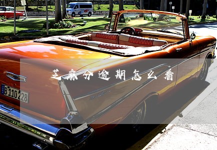 芝麻分逾期怎么看 芝麻分逾期怎么看
