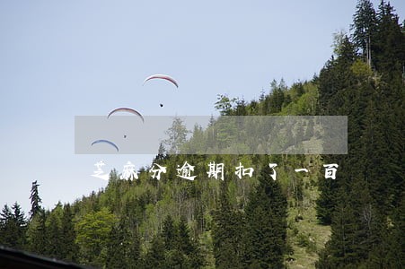 芝麻分逾期扣了一百 芝麻分逾期扣了一百
