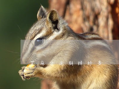 芝麻分逾期掉好多 芝麻分逾期掉好多