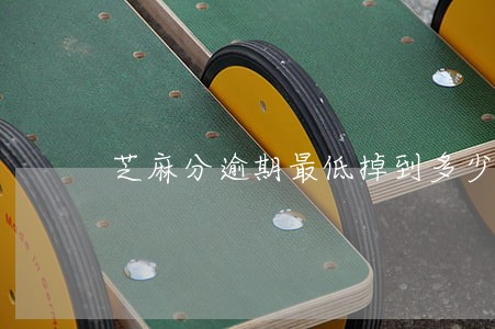 芝麻分逾期最低掉到多少分 芝麻分逾期最低掉到多少分