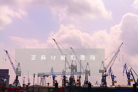 芝麻分逾期查询 芝麻分逾期查询