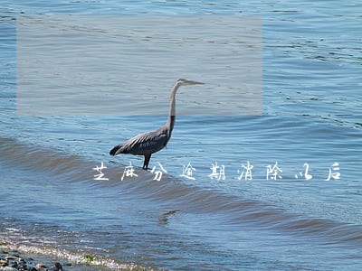 芝麻分逾期消除以后 芝麻分逾期消除以后