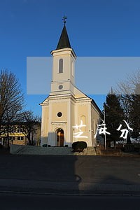 芝麻分逾期被降