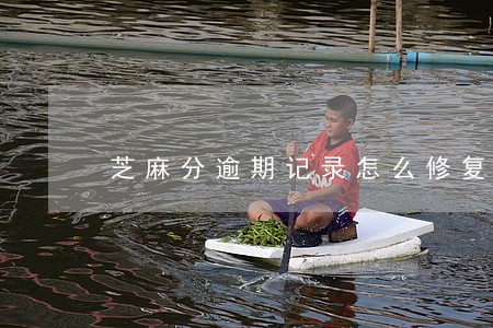 芝麻分逾期记录怎么修复 芝麻分逾期记录怎么修复