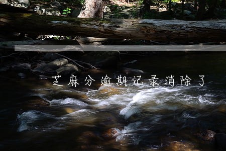 芝麻分逾期记录消除了 芝麻分逾期记录消除了