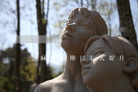 芝麻分逾期过怎么提升 芝麻分逾期过怎么提升