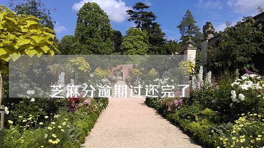 芝麻分逾期过还完了 芝麻分逾期过还完了
