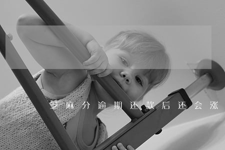 芝麻分逾期还款后还会涨吗 芝麻分逾期还款后还会涨吗