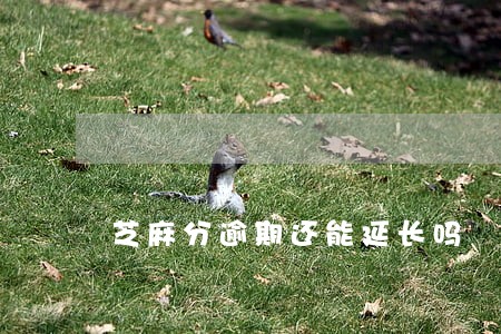 芝麻分逾期还能延长吗 芝麻分逾期还能延长吗