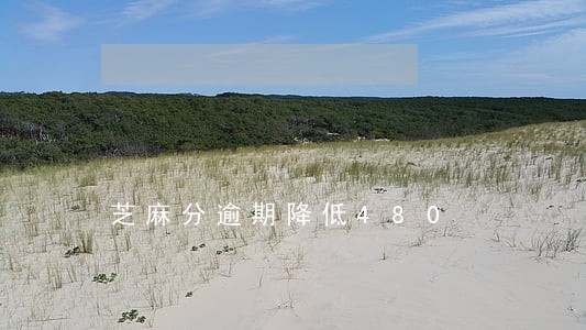 芝麻分逾期降低480