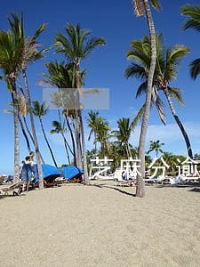 芝麻分逾期降分什么意思 芝麻分逾期降分什么意思