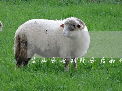 芝麻分逾期降分后如何恢复 芝麻分逾期降分后如何恢复