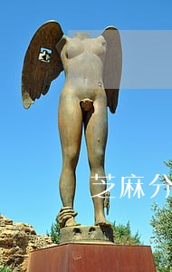 芝麻分逾期降分怎么用 芝麻分逾期降分怎么用