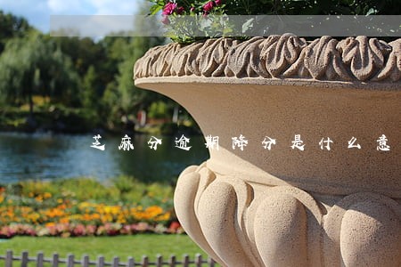 芝麻分逾期降分是什么意思 芝麻分逾期降分是什么意思