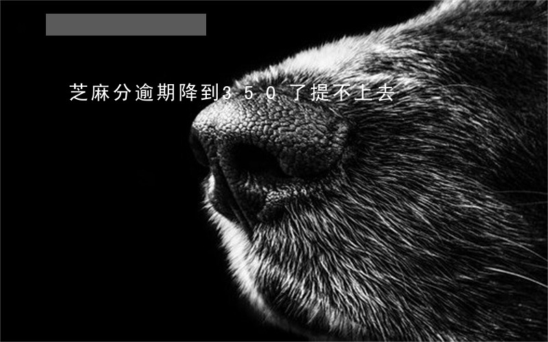 芝麻分逾期降到350了提不上去 芝麻分逾期降到350了提不上去