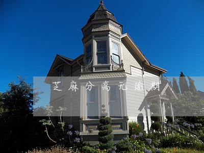 芝麻分高无逾期 芝麻分高无逾期