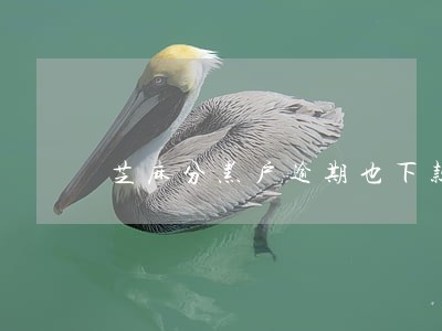 芝麻分黑户逾期也下款 芝麻分黑户逾期也下款