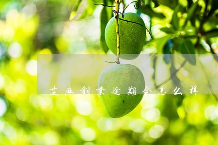 芝麻创业逾期会怎么样 芝麻创业逾期会怎么样