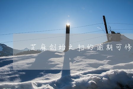 芝麻创始之初的逾期可修复吗 芝麻创始之初的逾期可修复吗