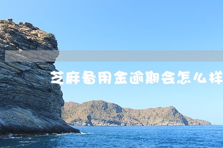 芝麻备用金逾期会怎么样 芝麻备用金逾期会怎么样