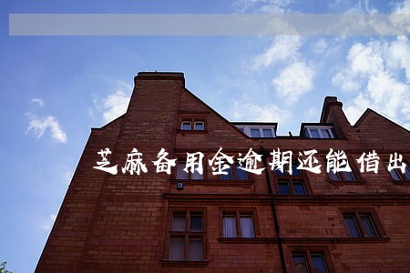 芝麻备用金逾期还能借出来了 芝麻备用金逾期还能借出来了