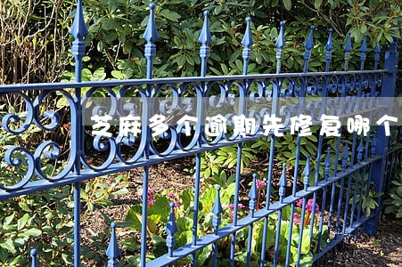 芝麻多个逾期先修复哪个 芝麻多个逾期先修复哪个