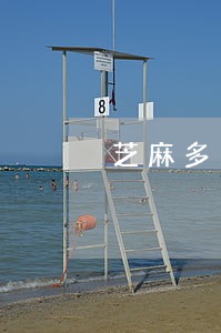 芝麻多久逾期 芝麻多久逾期