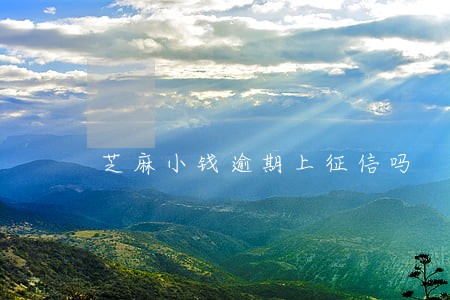 芝麻小钱逾期上征信吗 芝麻小钱逾期上征信吗