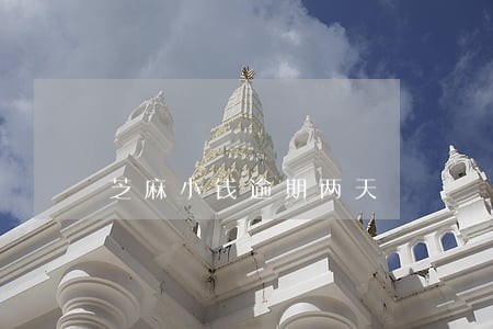 芝麻小钱逾期两天 芝麻小钱逾期两天