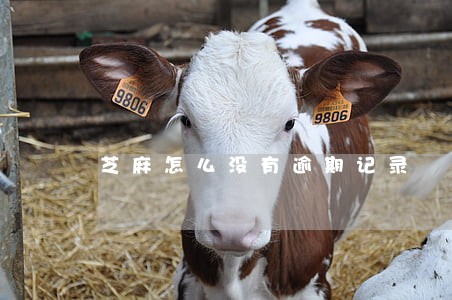 芝麻怎么没有逾期记录 芝麻怎么没有逾期记录
