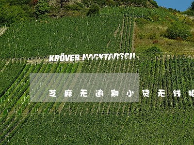 芝麻无逾期小贷无线拒 芝麻无逾期小贷无线拒