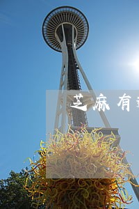 芝麻有逾期能做秒啦吗 芝麻有逾期能做秒啦吗